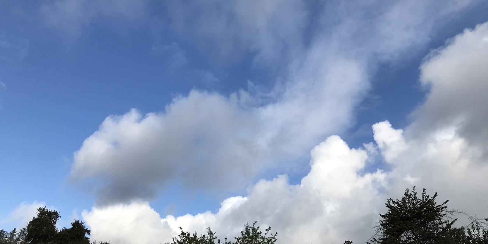 Claremont Events calendar produced by Claremont Heritage