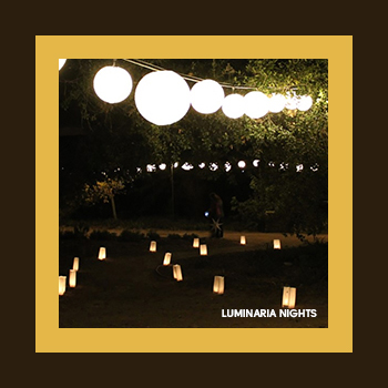 Luminaria Nights at California Botanic Garden