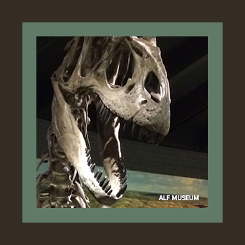 Alf Museum of Paleontology